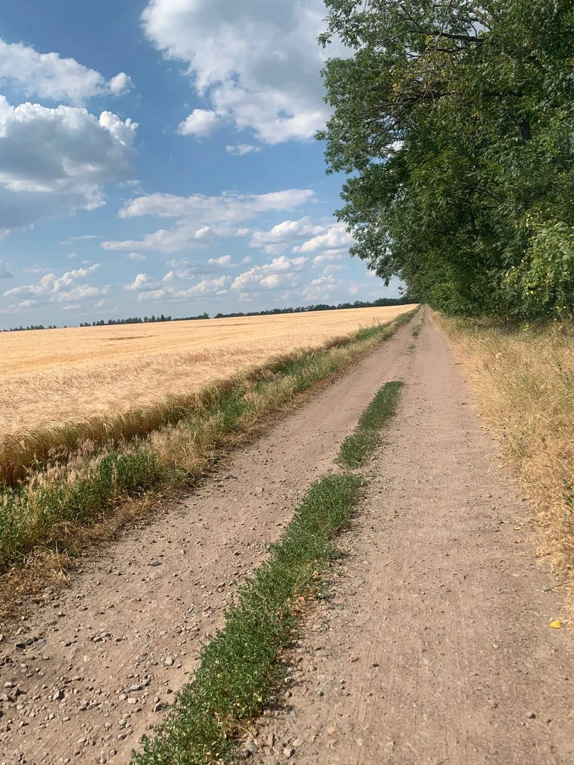 Приватизована дачна ділянка — фото 7 з 20