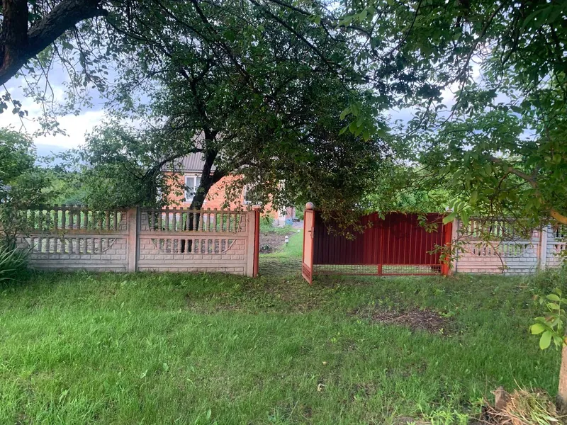 Приватизована дачна ділянка — фото 17 з 20