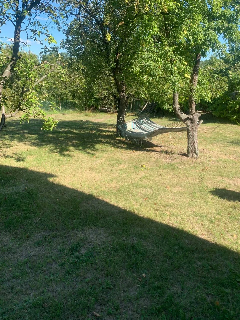 Приватизована дачна ділянка — фото 19 з 20