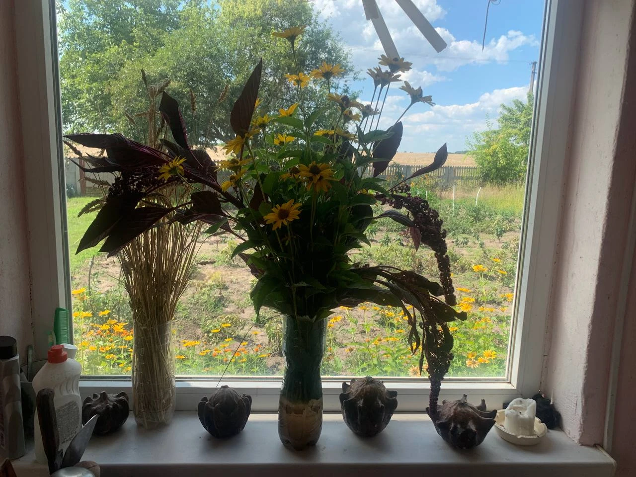 Приватизована дачна ділянка — фото 20 з 20