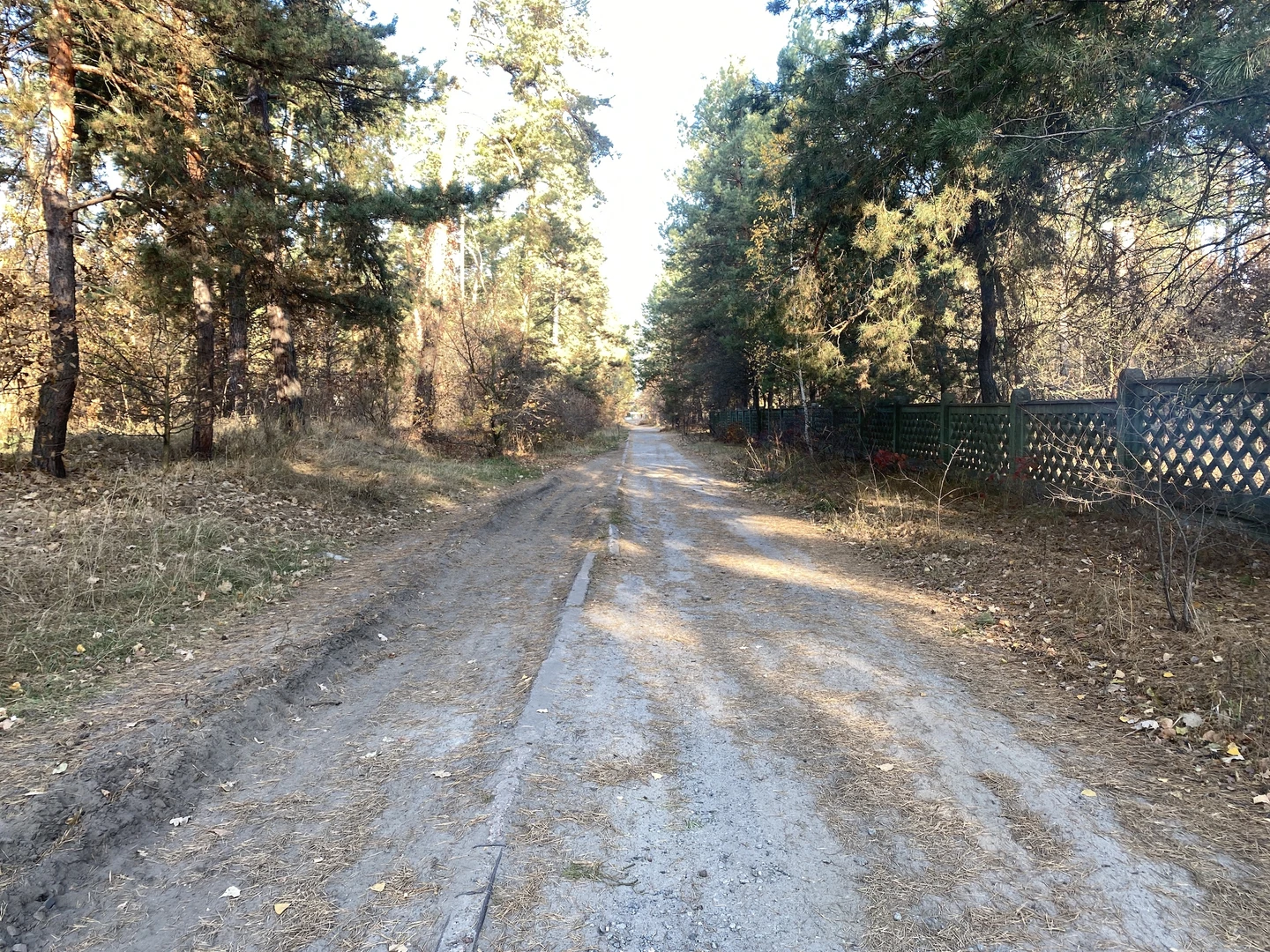 Продаж земельної ділянки під забудову, ліс, електрика, газ — фото 2 з 5