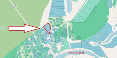 Продаю участок в с. Коленцовское, Киевская обл. Собственник — мініатюра фото 2