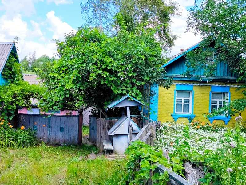 Будинок з піччю та колодязем - готовий тил на випадок відключень світла. — фото 13 з 15