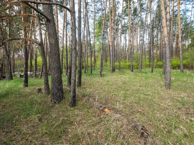 Продаж ділянки з будинком з ремонтом — фото 4 з 19