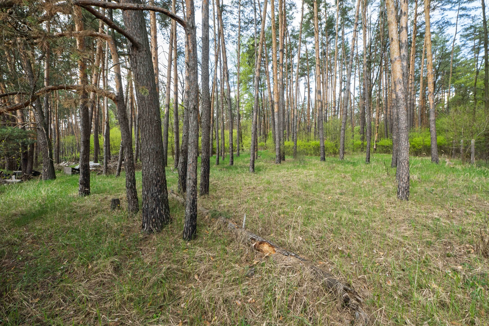 Продаж ділянки з будинком з ремонтом — фото 4 з 19
