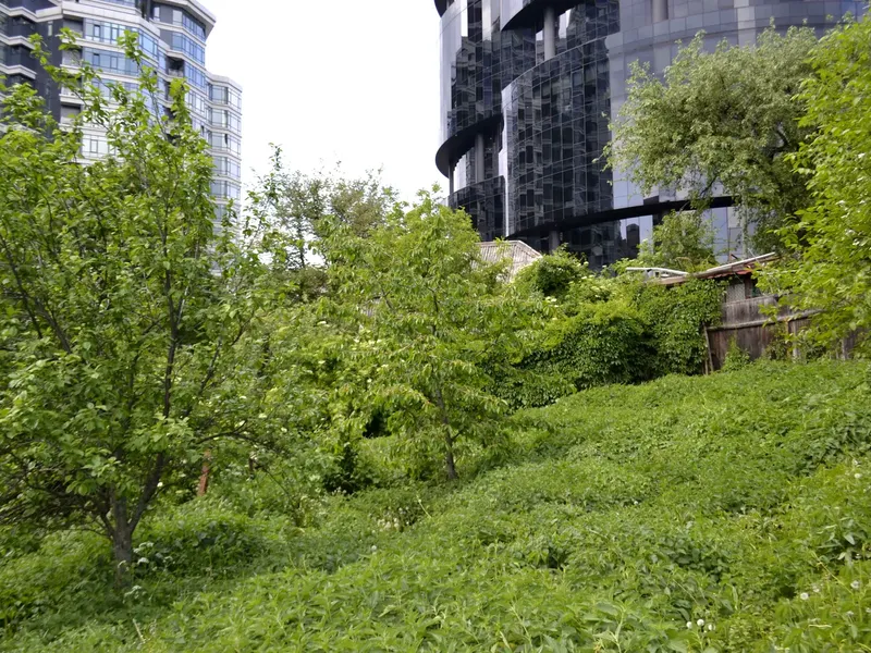 Печерськ, ділянка 14,81 соток, поряд IQ Business-Center та ЖК PecherSKY — фото 4 з 7