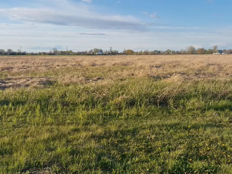 Продам ділянку 0.15га під житлову забкдову. — фото 3 з 13