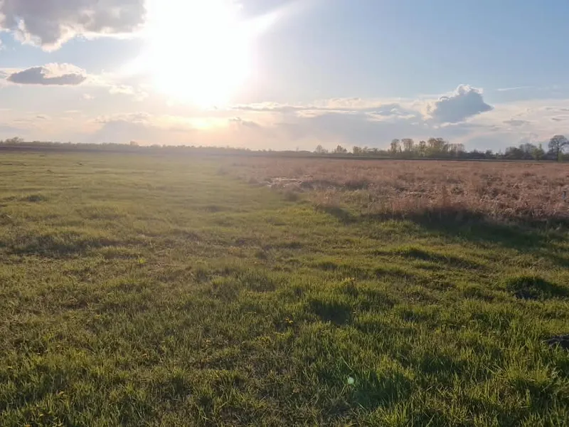 Продам ділянку 0.15га під житлову забкдову. — фото 6 з 13