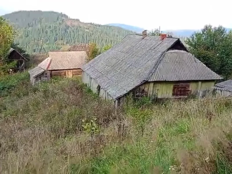 Продаж земельної ділянки 1 га в горах  Карпат  (0.25 під забудову, інше ОСГ).  — фото 3 з 3