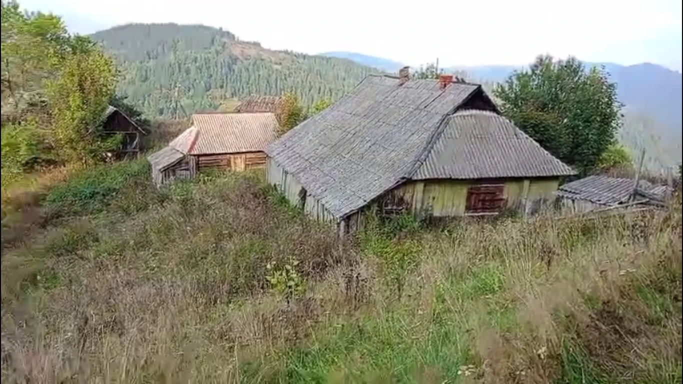 Продаж земельної ділянки 1 га в горах  Карпат  (0.25 під забудову, інше ОСГ).  — фото 3 з 3