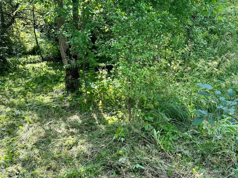 Продаж/ Земля/ Садівництво/ Воля Довголуцька/ Стрийський/ Львівська — фото 3 з 6
