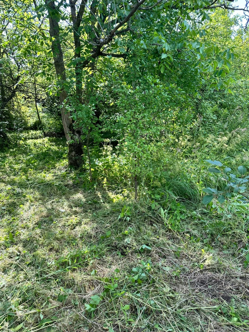 Продаж/ Земля/ Садівництво/ Воля Довголуцька/ Стрийський/ Львівська — фото 3 з 6