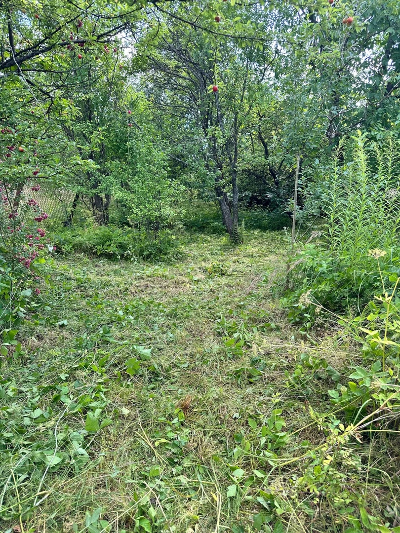 Продаж/ Земля/ Садівництво/ Воля Довголуцька/ Стрийський/ Львівська — фото 4 з 6