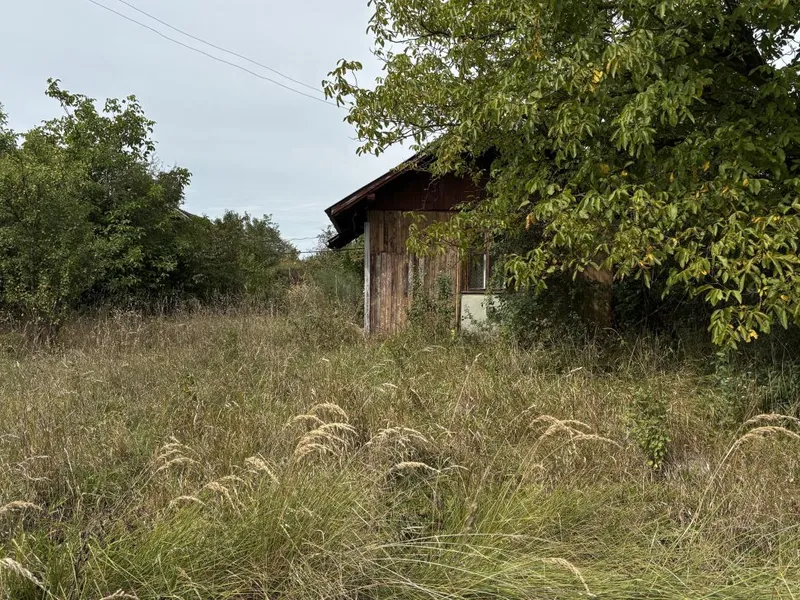 Продаж/ Земля/ Будівництво/ Діброва/ Стрийський, Львівська область — фото 4 з 17