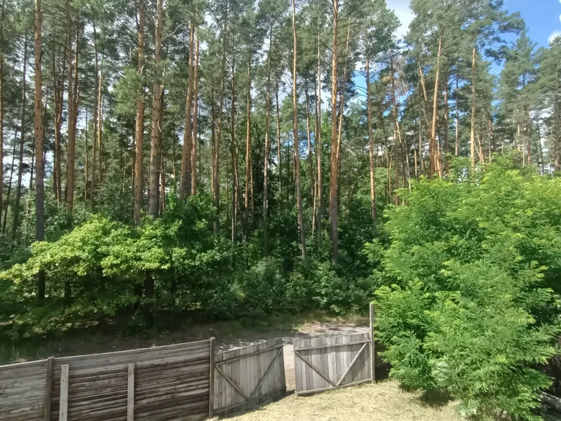 Шикарний будинок з виходом в ліс!! В смт Клавдієво-Тарасове — фото 5 з 7
