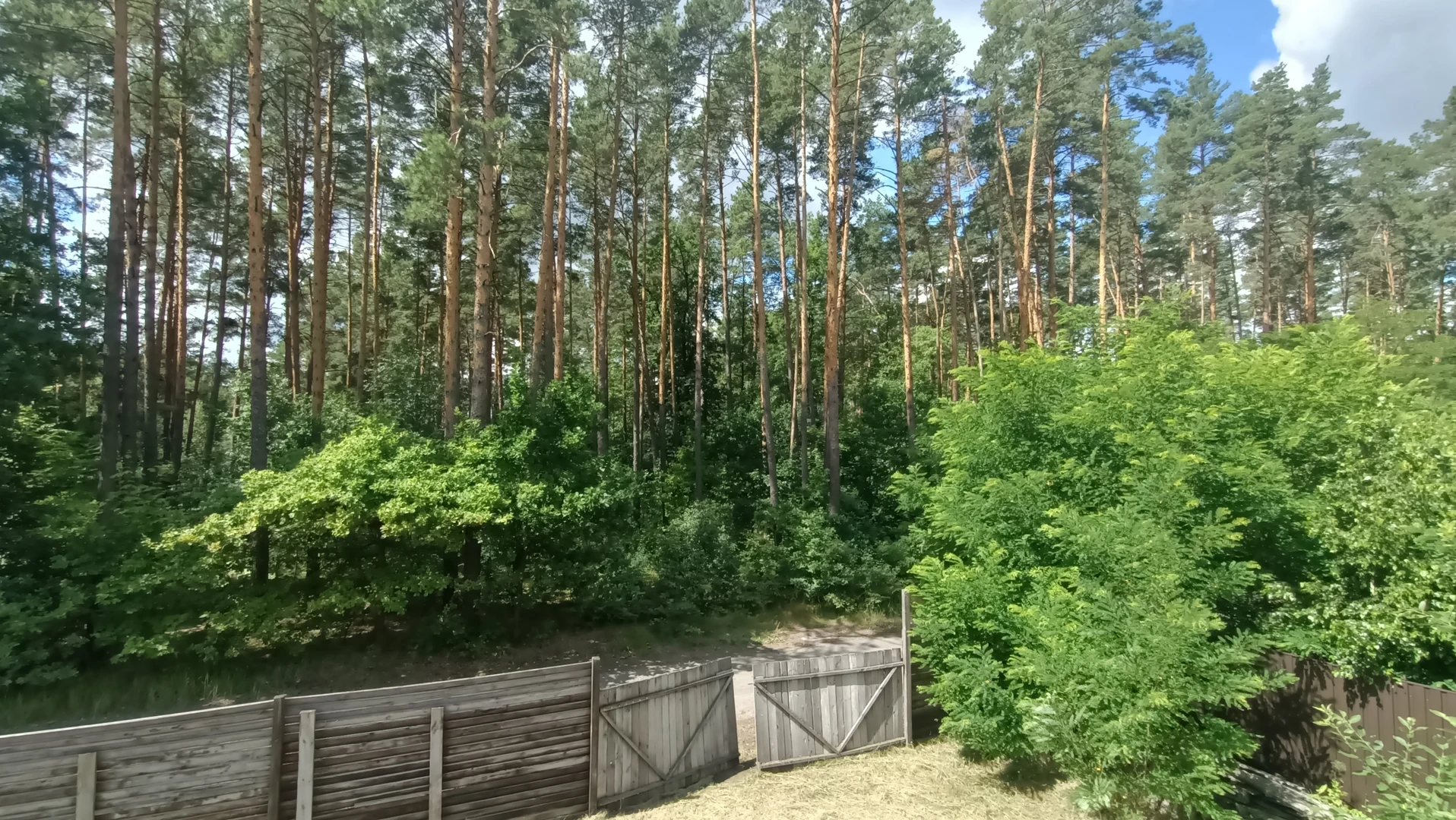 Шикарний будинок з виходом в ліс!! В смт Клавдієво-Тарасове — фото 5 з 7