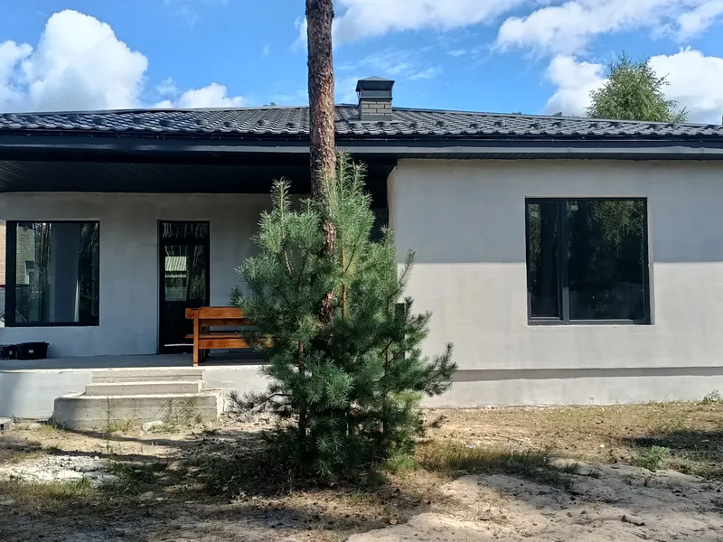 Одноповерховий будинок 130 м² в лісовій зоні селища Клавдієво-Тарасове — фото 3 з 4