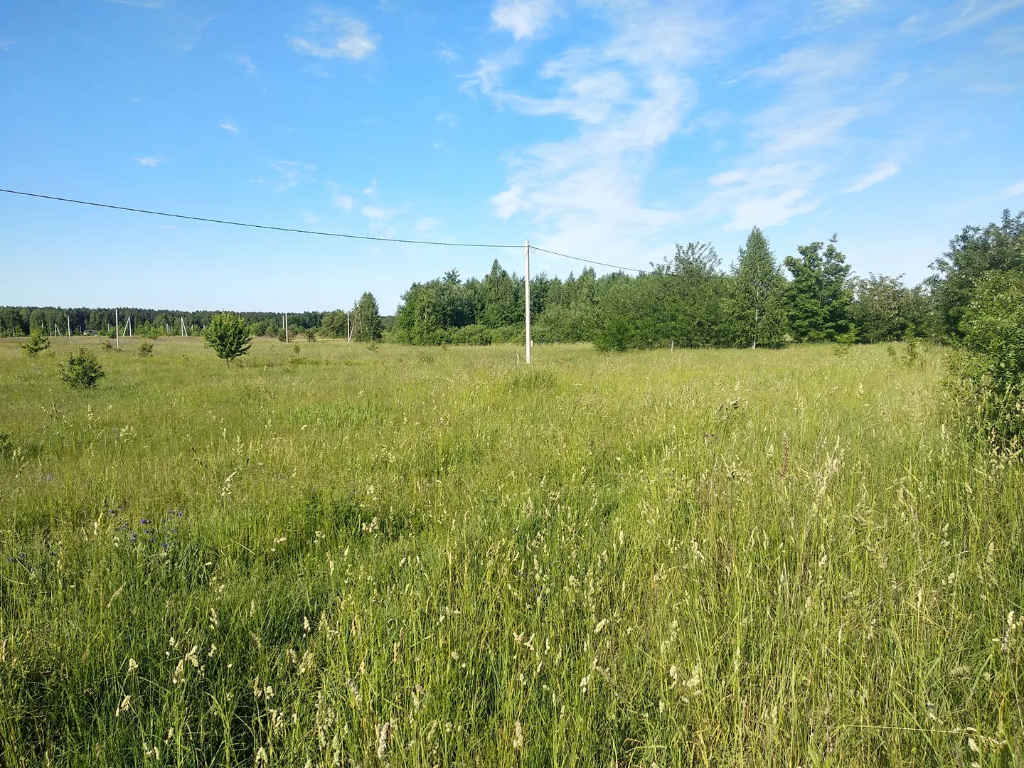  ділянка в селі Ясногродка: поряд Море, пляж і 45 км від Києва. — фото 2 з 13