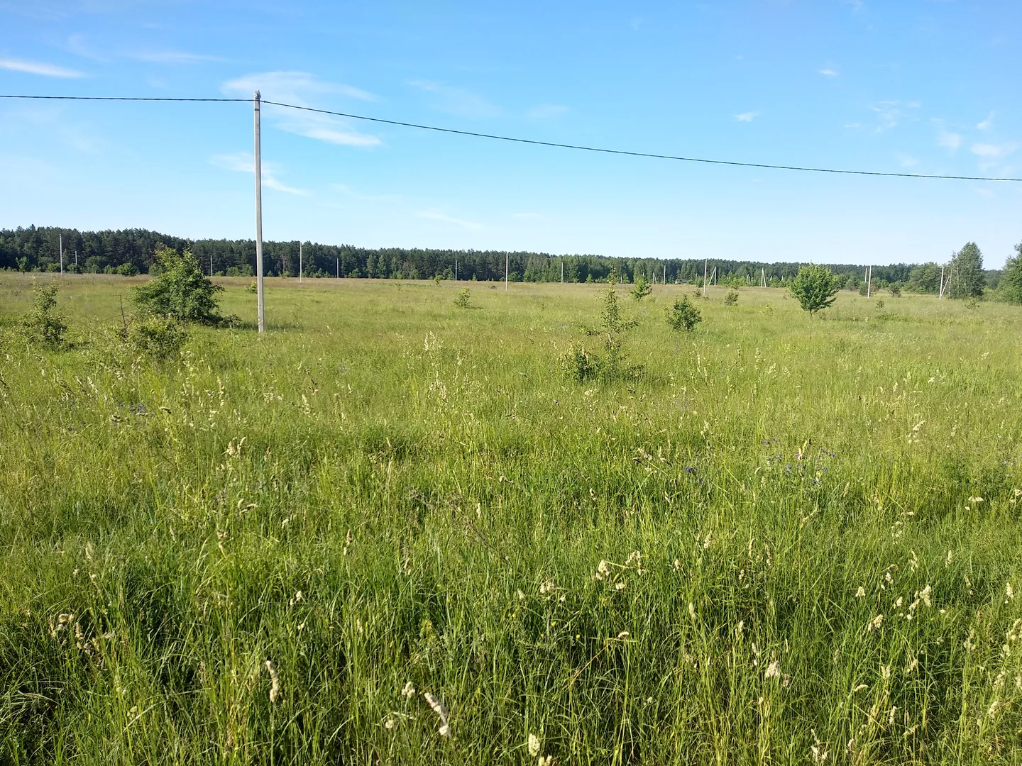  ділянка в селі Ясногродка: поряд Море, пляж і 45 км від Києва. — фото 8 з 13