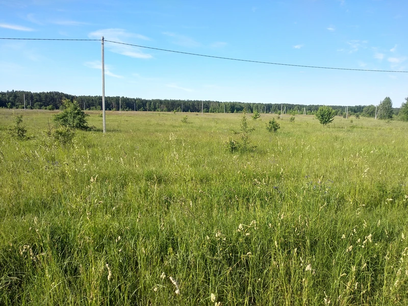  ділянка в селі Ясногродка: поряд Море, пляж і 45 км від Києва. — фото 8 з 13