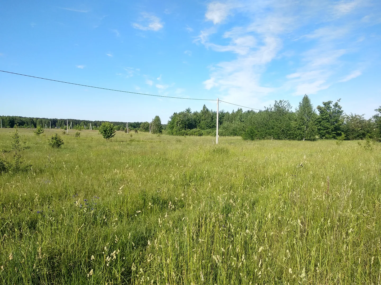 ділянка в селі Ясногродка: поряд Море, пляж і 45 км від Києва. — фото 9 з 13