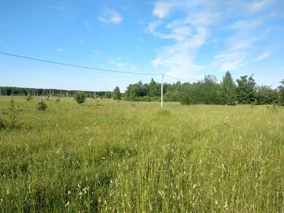  ділянка в селі Ясногродка: поряд Море, пляж і 45 км від Києва. — мініатюра фото 9