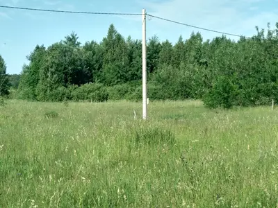  ділянка в селі Ясногродка: поряд Море, пляж і 45 км від Києва. — мініатюра фото 10