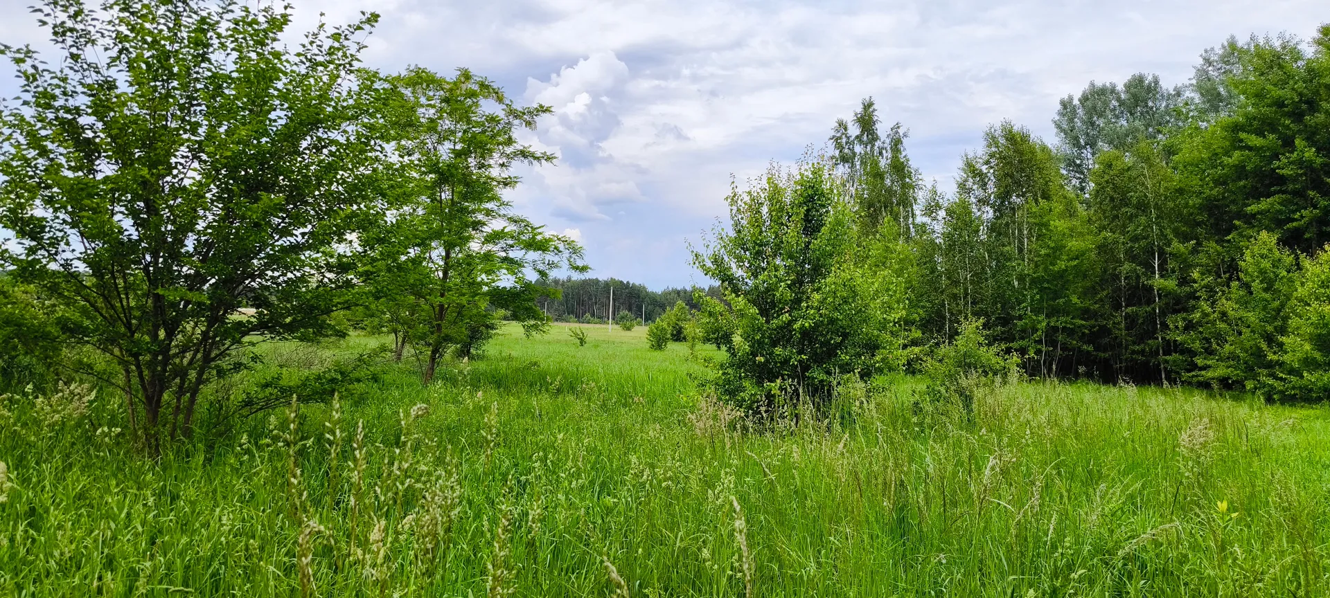  ділянка в селі Ясногродка: поряд Море, пляж і 45 км від Києва. — фото 11 з 13