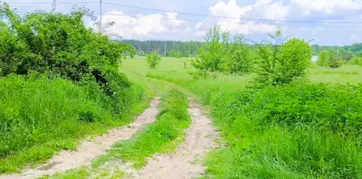  ділянка в селі Ясногродка: поряд Море, пляж і 45 км від Києва. — мініатюра фото 12