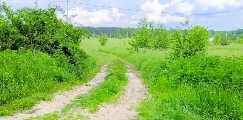  ділянка в селі Ясногродка: поряд Море, пляж і 45 км від Києва. — фото 12 з 13