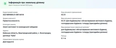  ділянка в селі Ясногродка: поряд Море, пляж і 45 км від Києва. — мініатюра фото 7