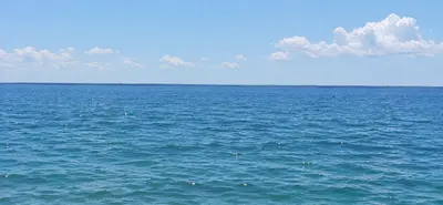  ділянка в селі Ясногродка: поряд Море, пляж і 45 км від Києва. — мініатюра фото 1
