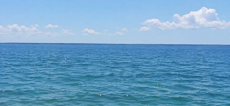  ділянка в селі Ясногродка: поряд Море, пляж і 45 км від Києва. — фото 1 з 13