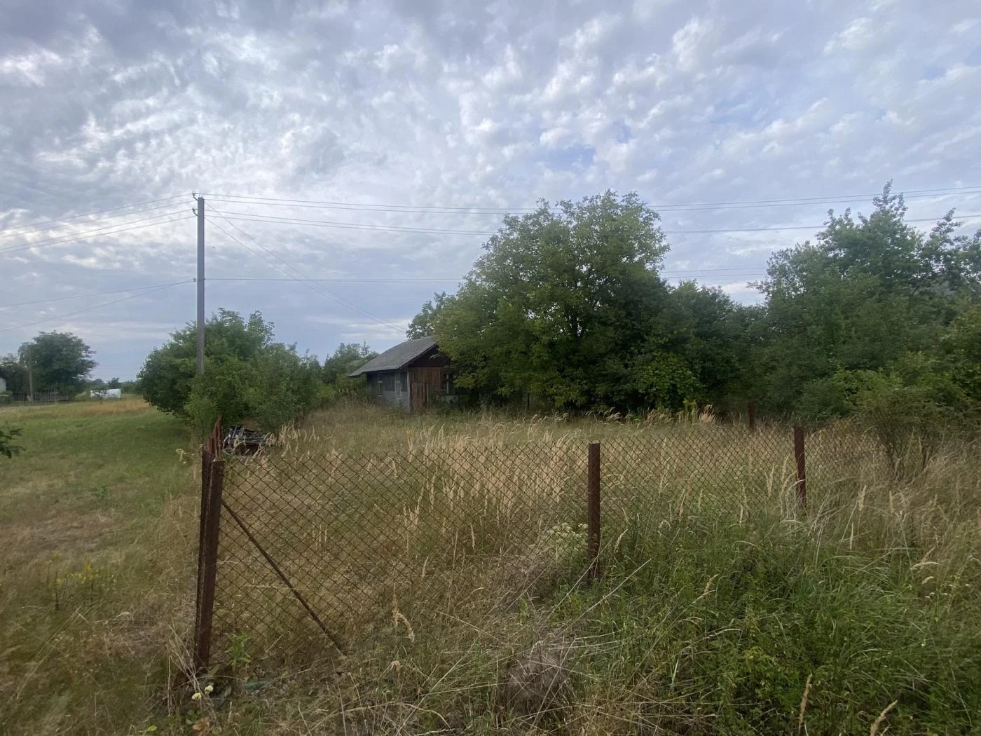 Продаж/ Земля/ Будівництво/ Діброва/ Стрийський, Львівська область — фото 14 з 17
