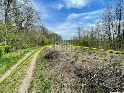 🌲 Ділянка 15 соток під забудову прямо біля лісу! Новосілки, БЕЗ КОМІСІЇ — мініатюра фото 5