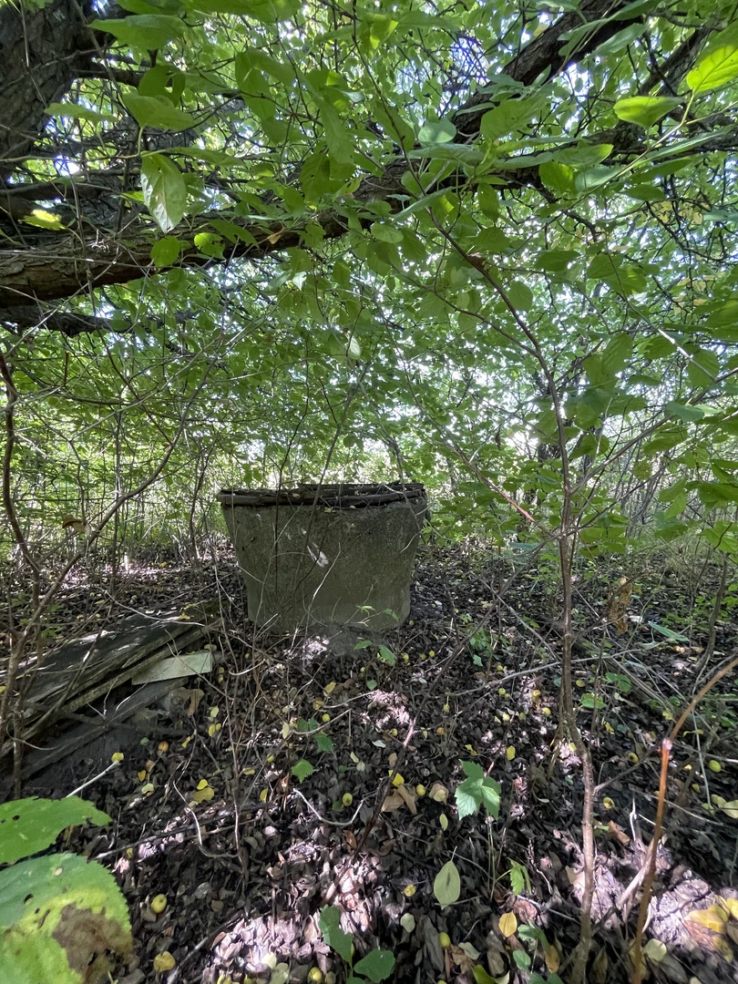 Ділянка 15с. під забудову Житомир/Світин-11км. — фото 11 з 12