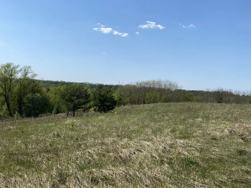 Ділянка с. Лісники 10 соток участок в Лесниках  — фото 3 з 6
