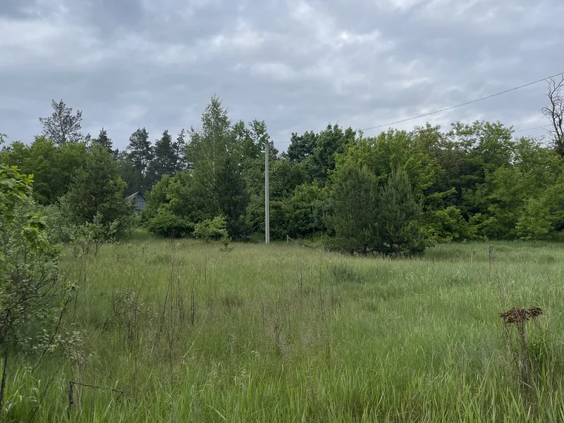 Ділянка 24с. під забудову Житомир/Давидівка-15км. — фото 5 з 16
