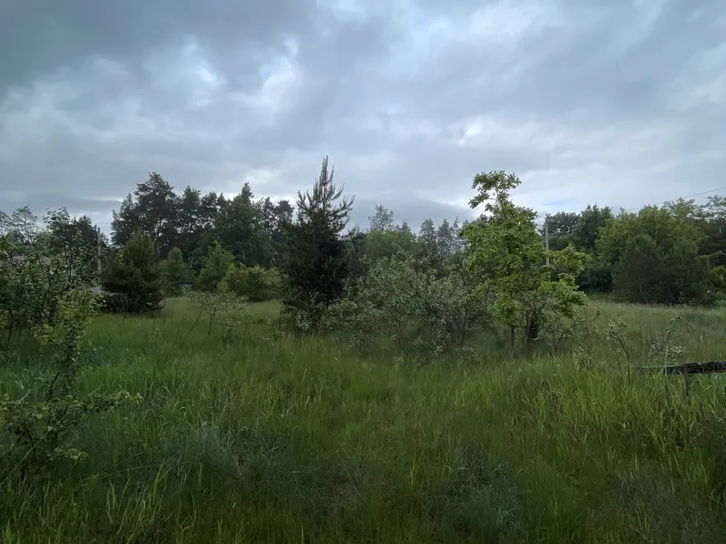 Ділянка 24с. під забудову Житомир/Давидівка-15км. — фото 7 з 16