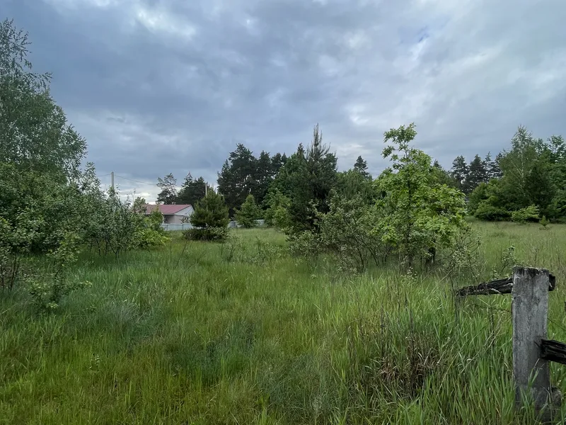 Ділянка 24с. під забудову Житомир/Давидівка-15км. — фото 12 з 16