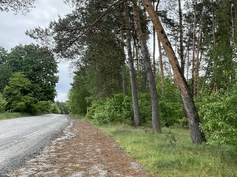 Ділянка 24с. під забудову Житомир/Давидівка-15км. — фото 14 з 16
