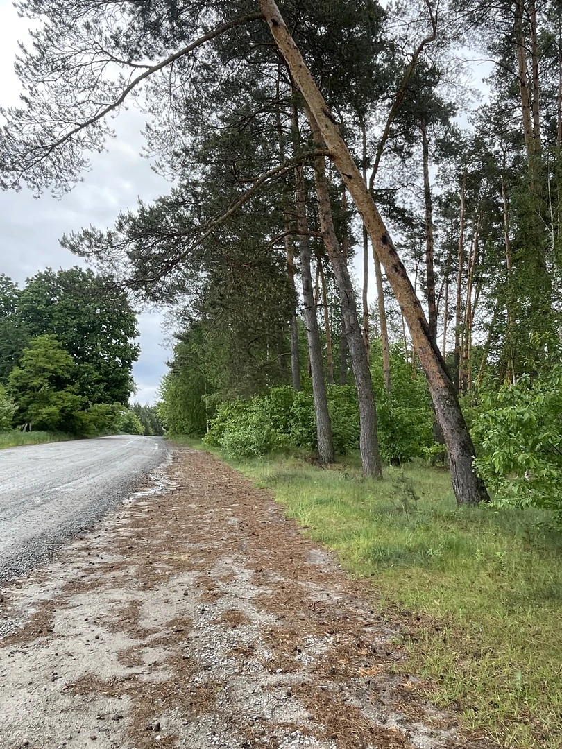 Ділянка 24с. під забудову Житомир/Давидівка-15км. — фото 14 з 16