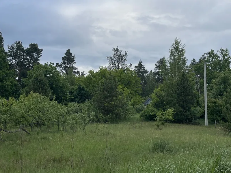 Ділянка 24с. під забудову Житомир/Давидівка-15км. — фото 16 з 16