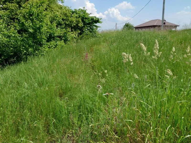 Продаж видової земельної ділянки 15 соток у Лісниках, Обухівський район, Київська область. — фото 2 з 7