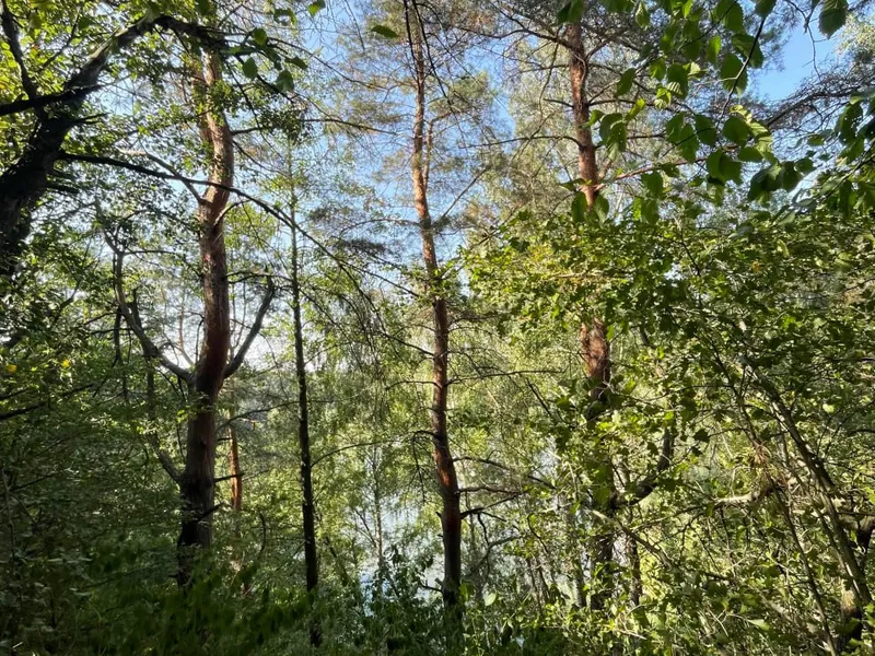 Продаж видової земельної ділянки 15 соток у Лісниках, Обухівський район, Київська область. — фото 3 з 7