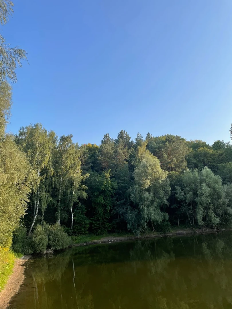 Продаж видової земельної ділянки 15 соток у Лісниках, Обухівський район, Київська область. — фото 6 з 7