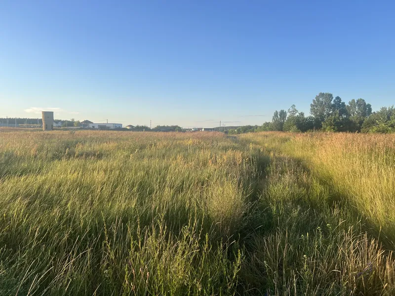 Продам земельну ділянку поруч з лісом та озером — фото 1 з 1