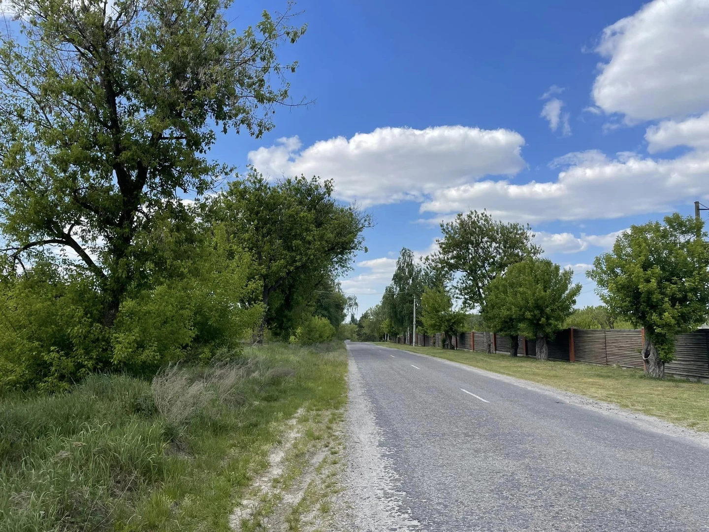 Продаж чудової ділянкі 20га в Лісі під житлове будівництво , Київ 24км — фото 4 з 7