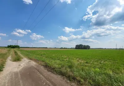 Вже переведено в землі промисловості - цільове призначення змінене, на кадастровій карті інформація застаріла. Є інші локації | Мурманська, позаду АгроЕкспо. Свій В'їзд. Земельні ділянки від 50 соток до 7 га, цільове призначення - промисловість, транспорт — мініатюра фото 2