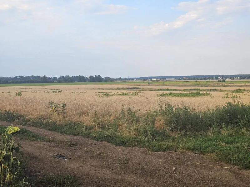 Продаж земельної ділянки — фото 9 з 10